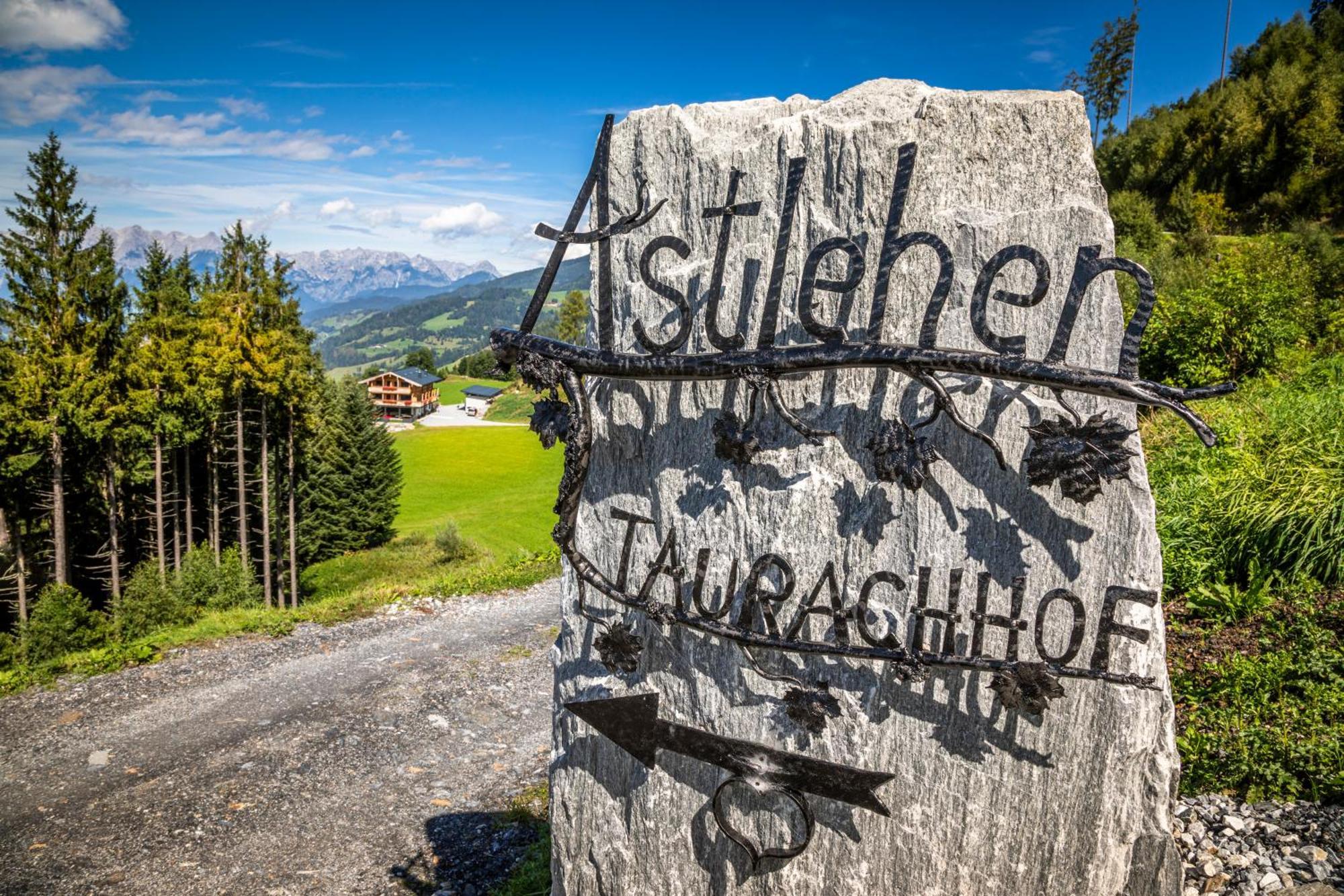 Apartamento Taurachhof Astlehen Alpendorf  Exterior foto
